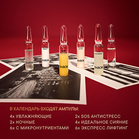 Рождественский Адвент Календарь 2026/2027