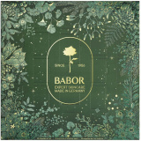 Рождественский Адвент Календарь 2025/26