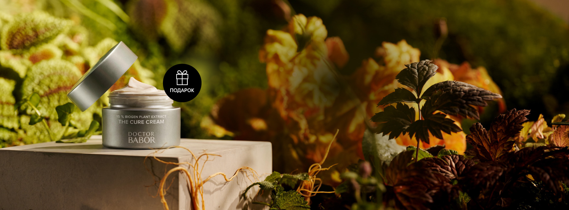 Регенерирующий крем The Cure Cream